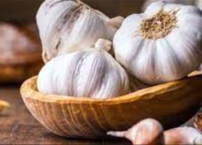 سیر می تواند در لاغری موثر باشد؟ سیر می تواند در لاغری موثر باشد؟